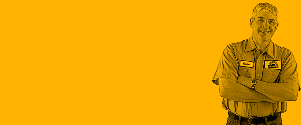 Training Credentials